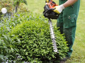 Bekommen Sie Unterstützung bei der Gartenarbeit, dann bezahlen Sie Ihre Helfer mit Dienstleistungsschecks!