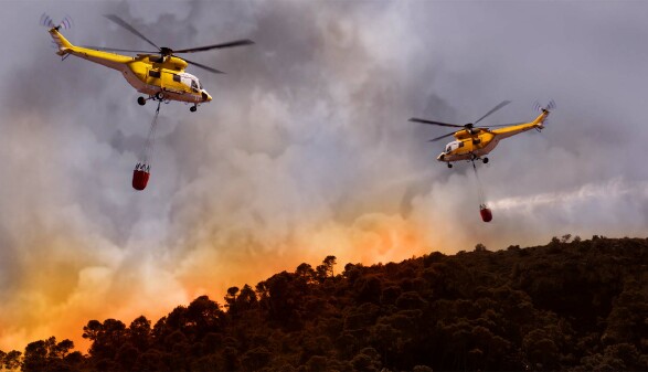 Waldbrand